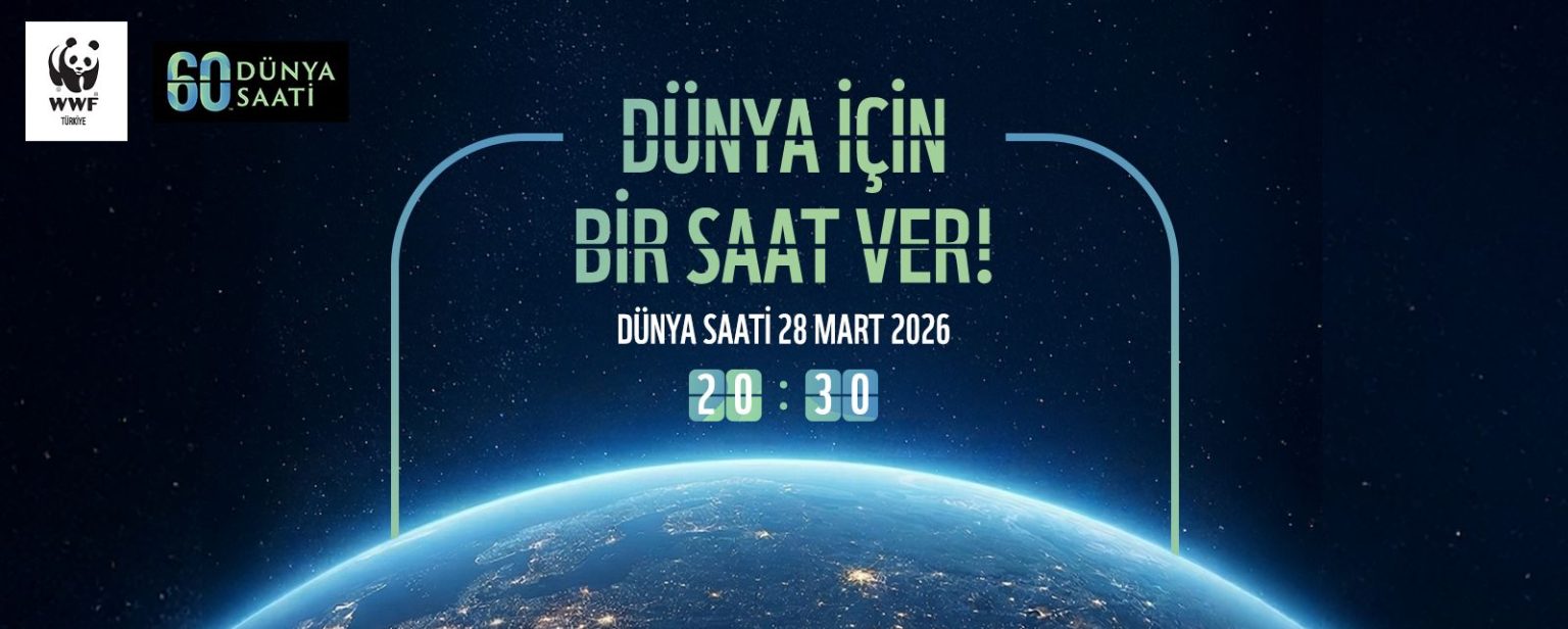 dünya saati 2026