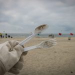 tek kullanımlık plastik